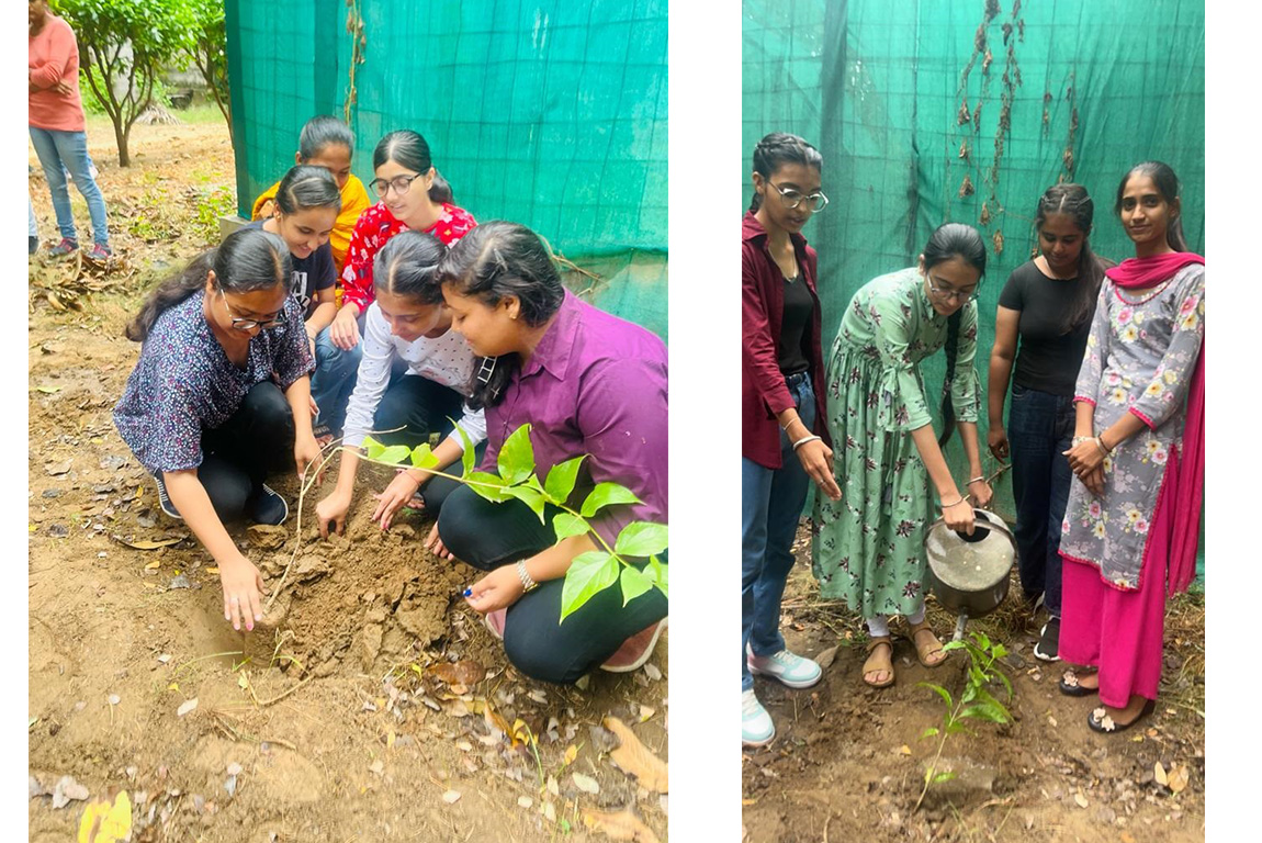 TREE PLANTATION ON THE OCCASION OF WORLD PHARMACISTS DAY (25th SEPTEMBER 2022) WITH THEME 