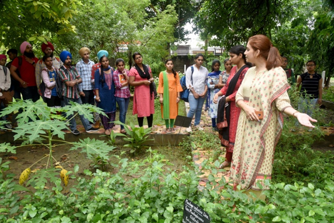 Orientation Programme
