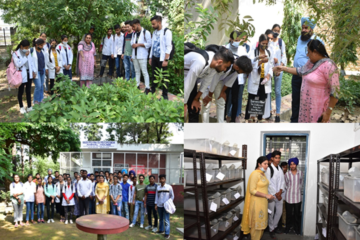 Induction Program