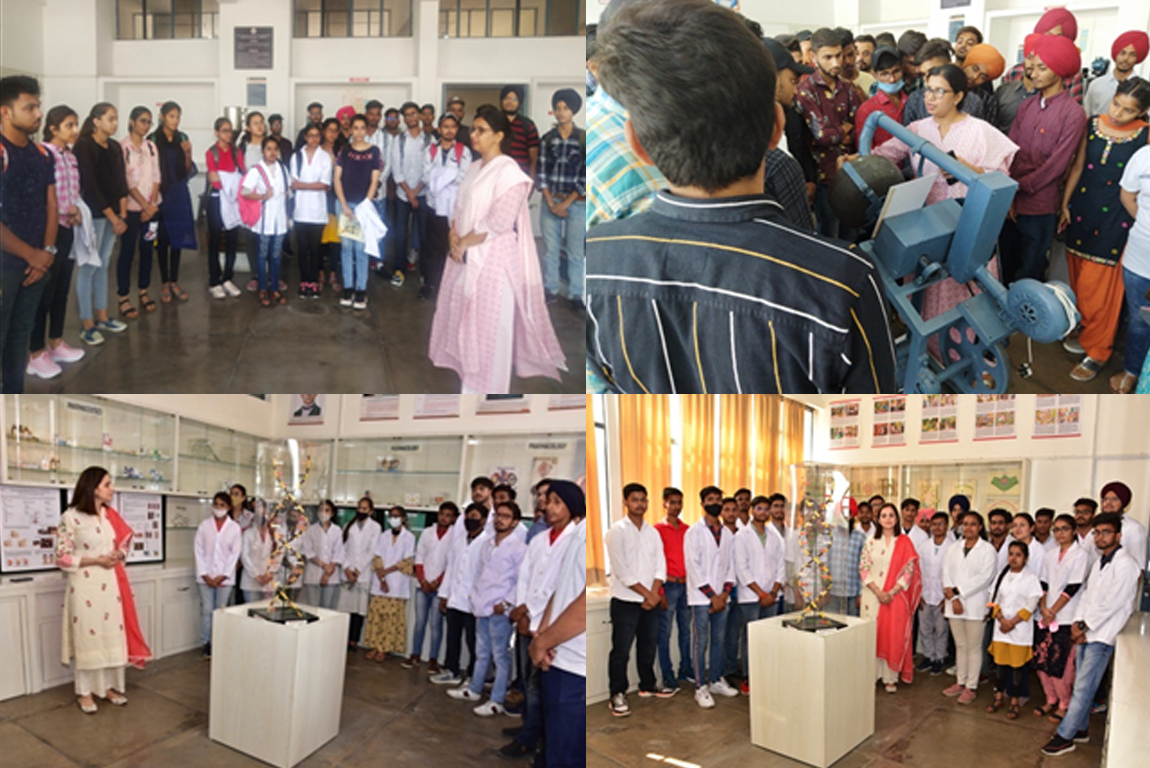 Induction Program